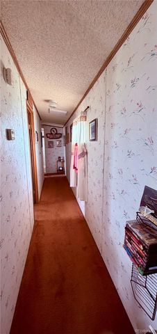 125 12th Street, Fairplay, CO 80440
