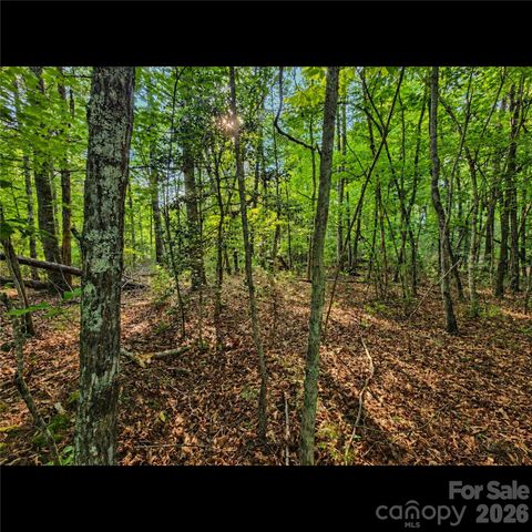 547 James View Road, Marion, NC 28752