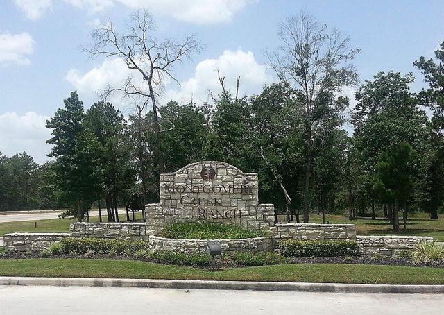 9951 Chimney Swift Lane, Conroe, TX 77385