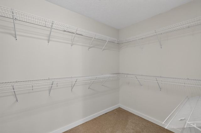 1408 KY-80, Windsor, KY 42565