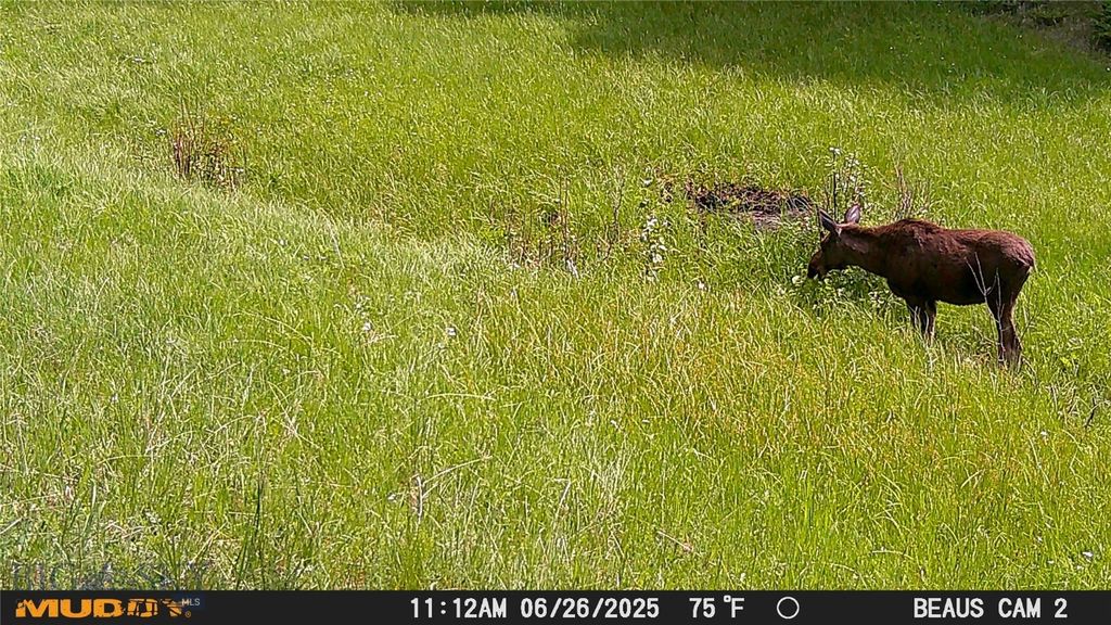 Lot 5 Ruby Mine Road, Butte, MT 59701 photo 13