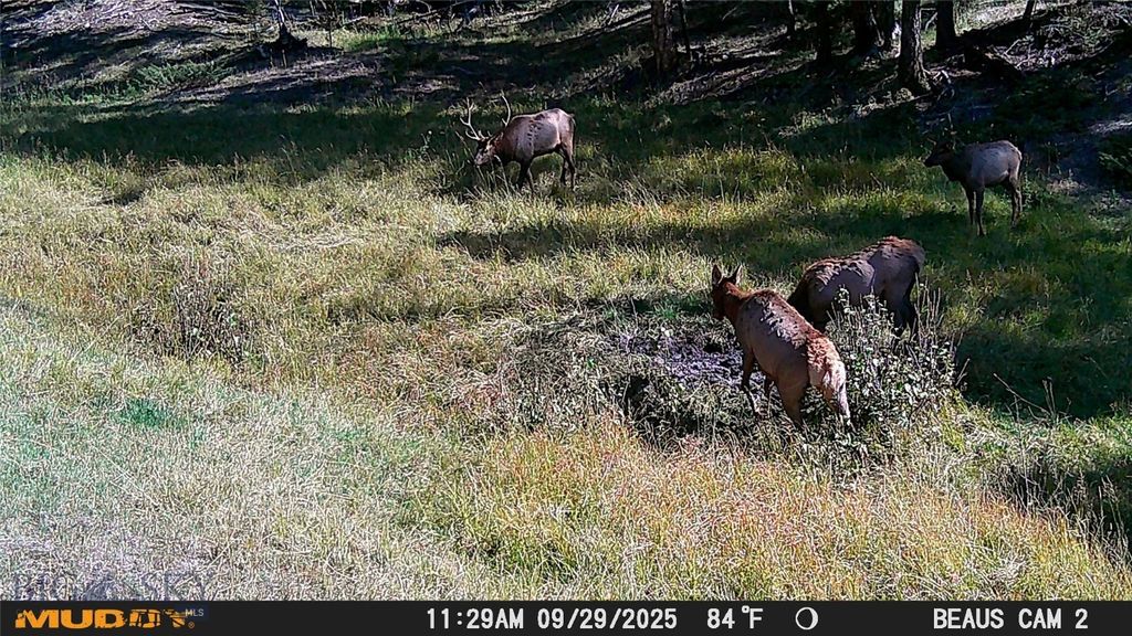 Lot 5 Ruby Mine Road, Butte, MT 59701 photo 15