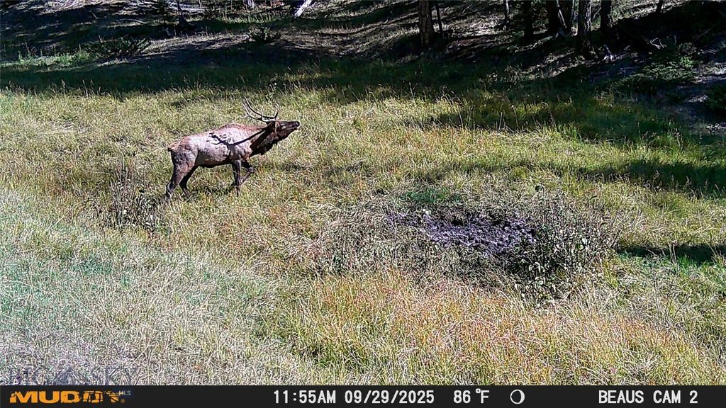 Lot 5 Ruby Mine Road, Butte, MT 59701 photo 16