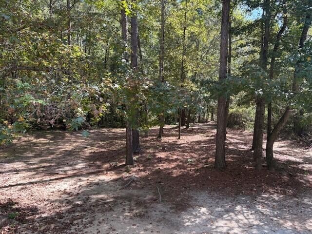 3216 Michelle Drive, Appling, GA 30802