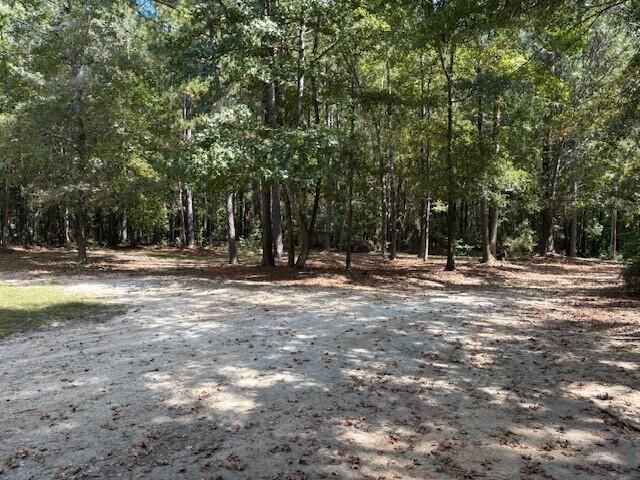 3216 Michelle Drive, Appling, GA 30802