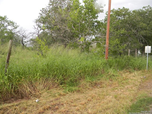 459 cecilia, Pleasanton, TX 78064
