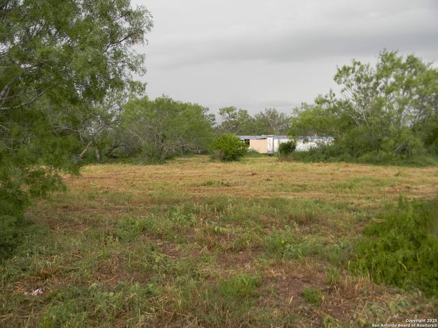 459 cecilia, Pleasanton, TX 78064