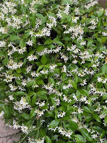 16739 Obispo Dr., La Mirada, CA 90638