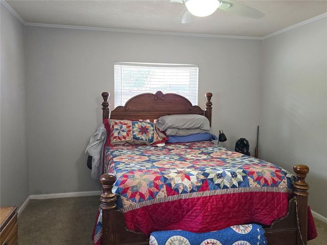 506 E GOTTSCHE AVENUE, Eustis, FL 32726