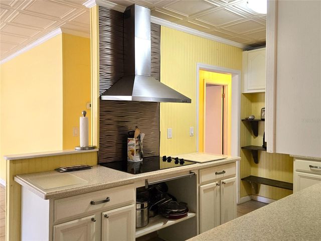 506 E GOTTSCHE AVENUE, Eustis, FL 32726