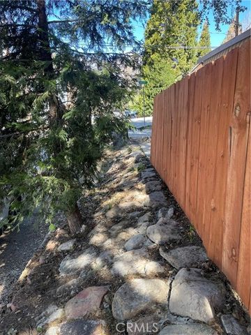 29392 Lake View, Cedar Glen, CA 92321