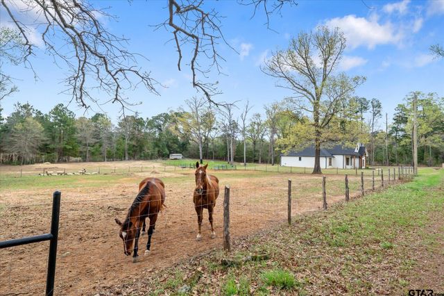 437 County Road 4914, Troup, TX 75789