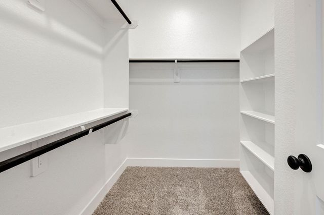 132 Red Cascade Court, Conroe, TX 77318