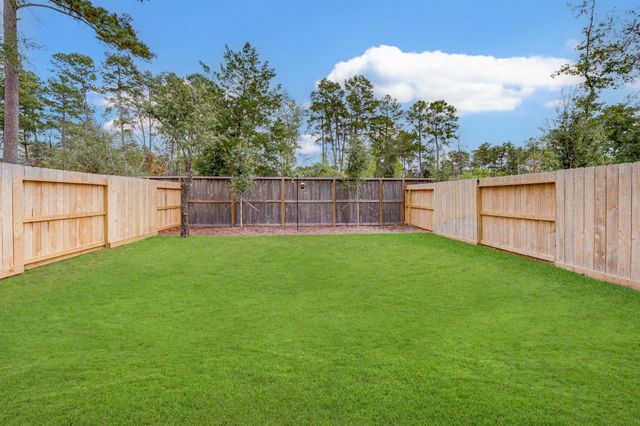 132 Red Cascade Court, Conroe, TX 77318