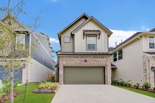 132 Red Cascade Court, Conroe, TX 77318