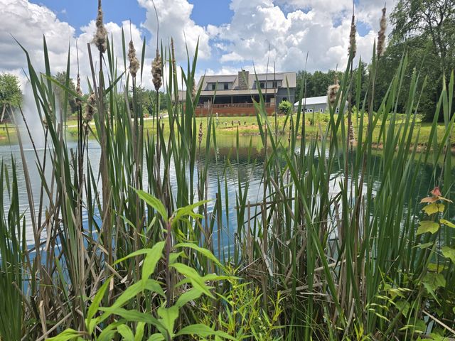 3545 Binkley Rd, Joelton, TN 37080