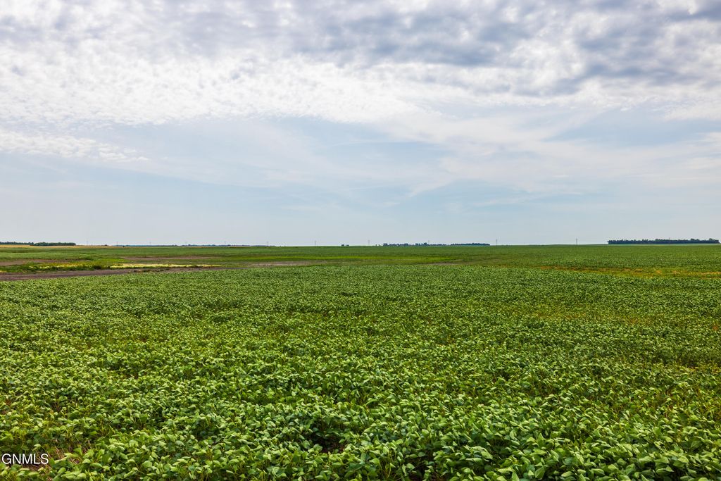 Tbd 98 St Ne Lot 3, Bottineau, ND 58318 photo 5