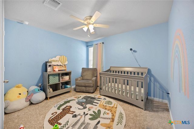 113 Rochester Lane, Hutto, TX 78634