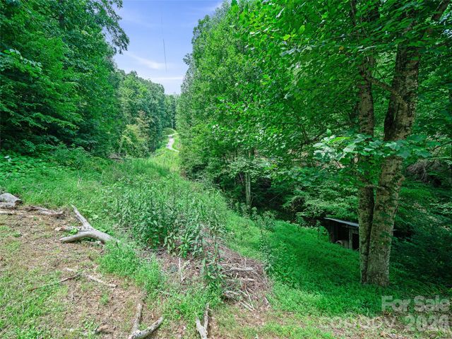 9851 Double Island Road, Green Mountain, NC 28740