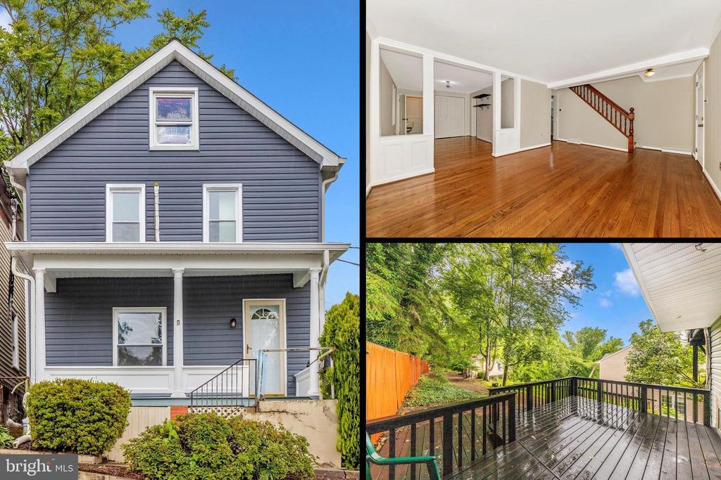 21 E D ST, Brunswick, MD 21716