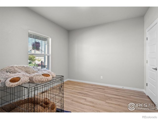 971 Mouflon Drive, Severance, CO 80550