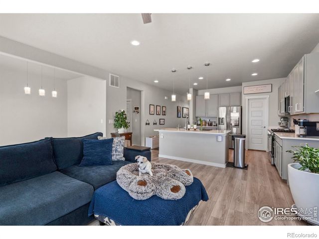 971 Mouflon Drive, Severance, CO 80550