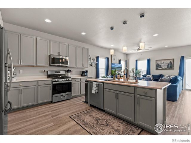 971 Mouflon Drive, Severance, CO 80550