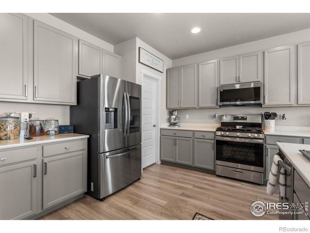 971 Mouflon Drive, Severance, CO 80550