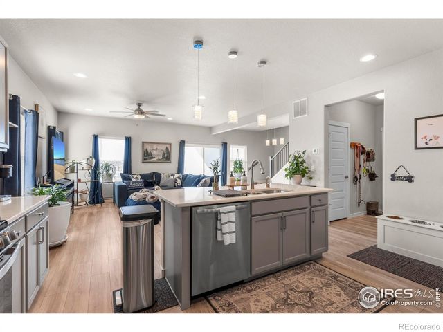 971 Mouflon Drive, Severance, CO 80550