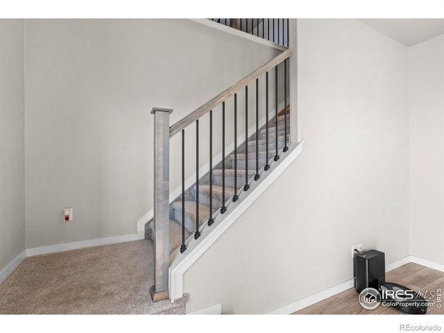 971 Mouflon Drive, Severance, CO 80550