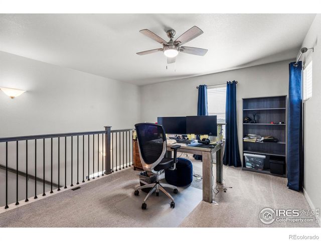 971 Mouflon Drive, Severance, CO 80550