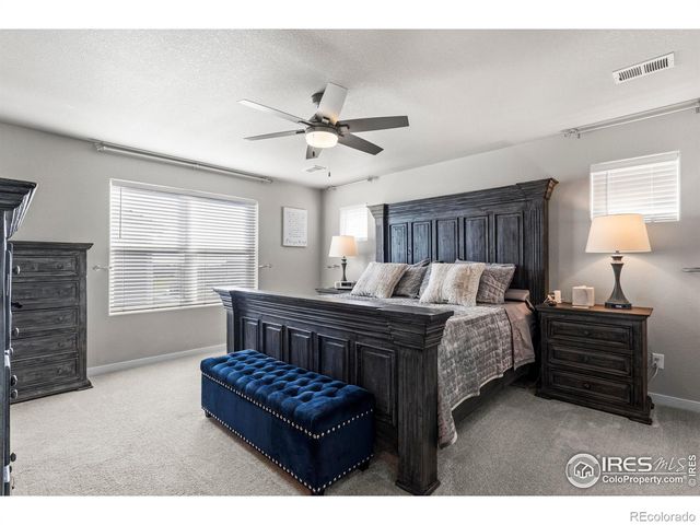 971 Mouflon Drive, Severance, CO 80550