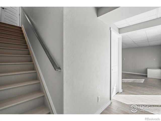 971 Mouflon Drive, Severance, CO 80550