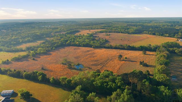 7335 CR 4710, Larue, TX 75770