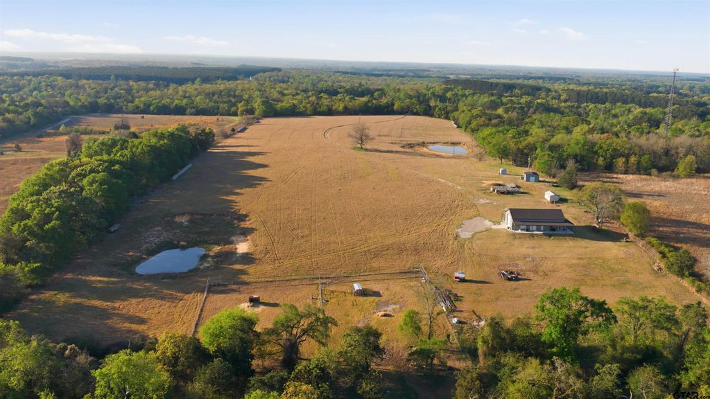 7335 CR 4710, Larue, TX 75770