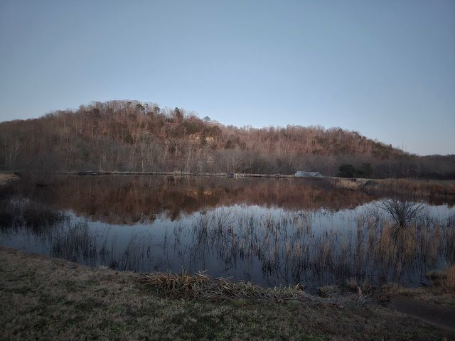 7699 N County Line Rd, Fairview, TN 37062