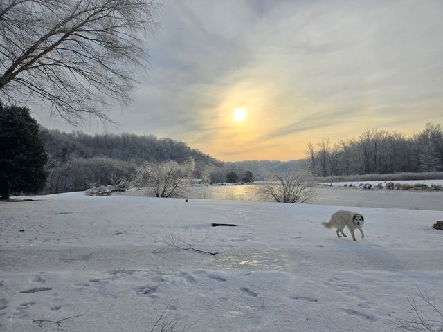 7699 N County Line Rd, Fairview, TN 37062