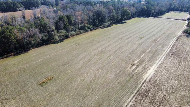 TBD Highway 917, Nichols, SC 29581