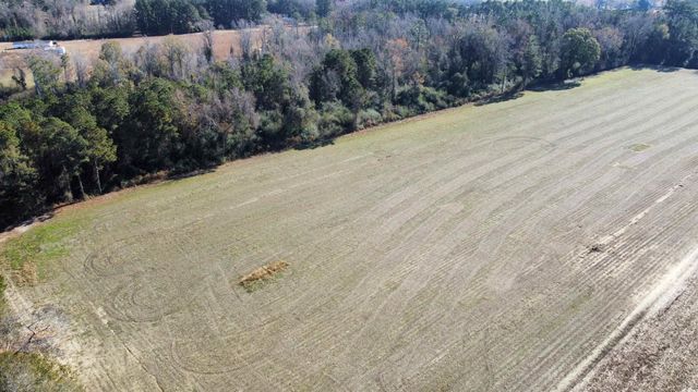 TBD Highway 917, Nichols, SC 29581