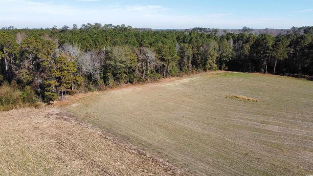 TBD Highway 917, Nichols, SC 29581