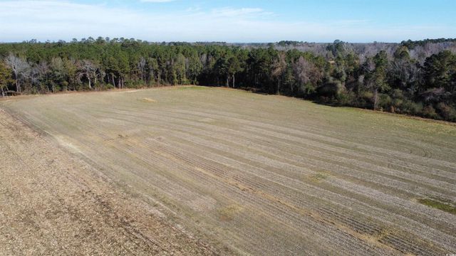 TBD Highway 917, Nichols, SC 29581