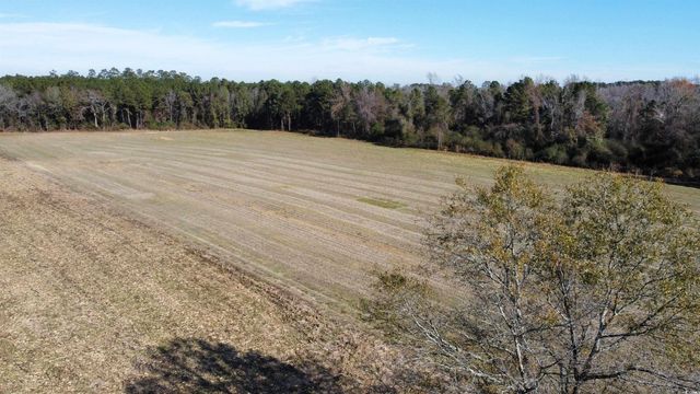 TBD Highway 917, Nichols, SC 29581