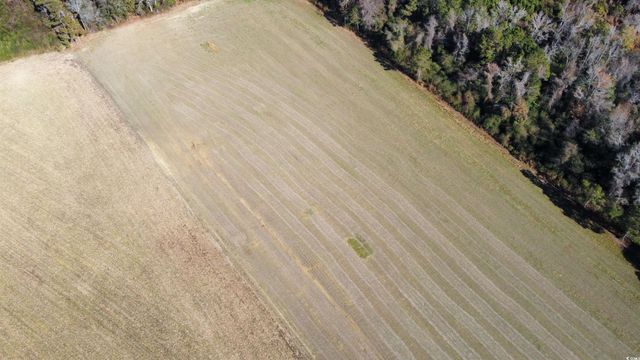 TBD Highway 917, Nichols, SC 29581