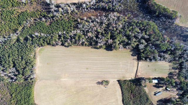 TBD Highway 917, Nichols, SC 29581