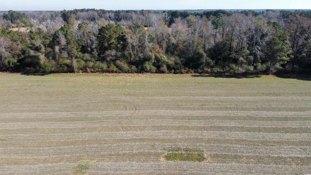 TBD Highway 917, Nichols, SC 29581