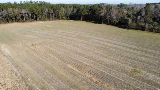 TBD Highway 917, Nichols, SC 29581