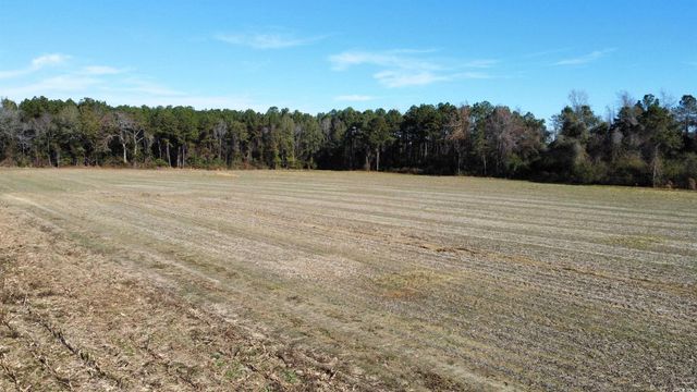 TBD Highway 917, Nichols, SC 29581