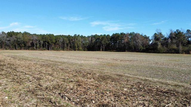 TBD Highway 917, Nichols, SC 29581