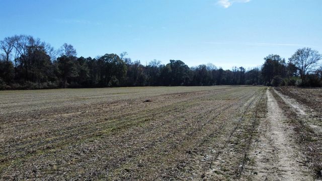 TBD Highway 917, Nichols, SC 29581