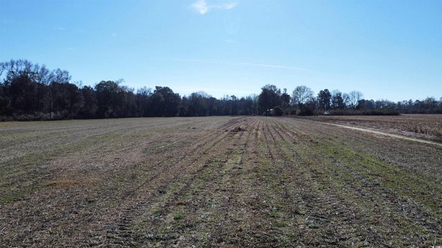 TBD Highway 917, Nichols, SC 29581